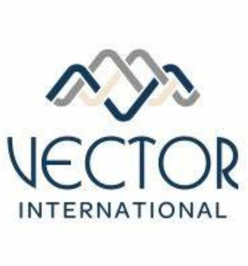Vector Logo