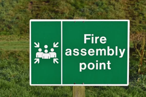 Fire Assembly with Stand